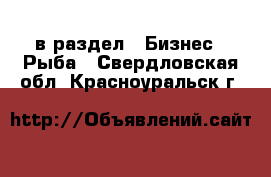  в раздел : Бизнес » Рыба . Свердловская обл.,Красноуральск г.